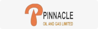 pinnacle logo